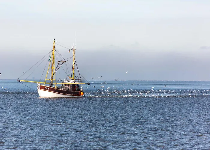 Komfort-ferienhaus Aida 公寓 布特亚丁根