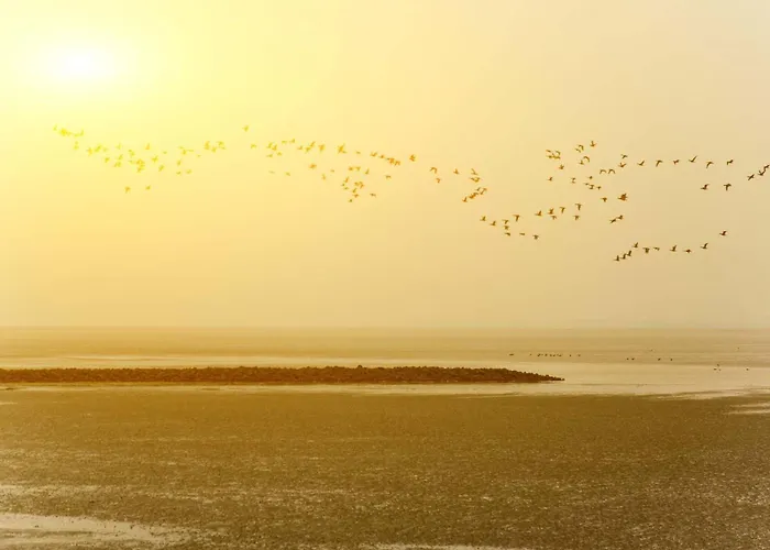 公寓 Komfort-ferienhaus Aida *