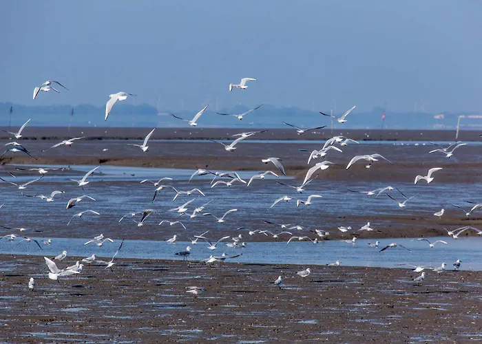 公寓 Komfort-ferienhaus Aida